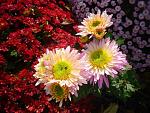     
: 12. 11 (13).jpg
: 8
:	108.0 
ID:	12414584