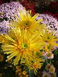     
: 12. 11 (11).jpg
: 8
:	78.4 
ID:	12414585