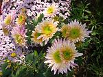     
: 12. 11 (10).jpg
: 9
:	114.3 
ID:	12414586