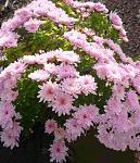     
: 12. 11 (3).jpg
: 12
:	101.8 
ID:	12414588