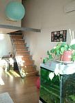     
: temp3.jpg
: 33
:	45.4 
ID:	12416250