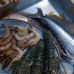     
: image (2).jpg
: 79
:	19.3 
ID:	12419950