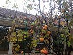     
: 20171119_115926_thumb.jpg
: 183
:	245.1 
ID:	12423828