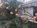     
: 20171119_115932_thumb.jpg
: 198
:	278.5 
ID:	12423832