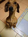     
: IMG_20171122_192516.jpg
: 15
:	69.4 
ID:	12431724