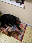     
: IMG_20171122_192259.jpg
: 13
:	61.5 
ID:	12431731