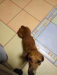     
: IMG_20171122_192536.jpg
: 15
:	72.6 
ID:	12431737