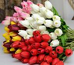     
: image-0-02-04-153162f3ad147a5090d65b522303c373fbd7d233ef7f2faecd31ba3a74173512-V.jpg
: 21
:	96.9 
ID:	12432383