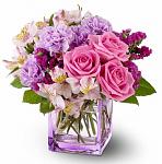     
: birthday-pink.jpg
: 17
:	27.0 
ID:	12432629