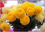     
: viber image.jpg
: 10
:	230.5 
ID:	12433260