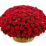     
: IMG_4547.JPG
: 14
:	100.9 
ID:	12433479