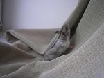     
: P1010023.jpg
: 32
:	101.6 
ID:	1243432