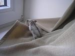     
: P1010024.jpg
: 26
:	89.6 
ID:	1243441