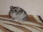     
: P1010003.jpg
: 45
:	79.8 
ID:	1243449