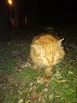     
: P71124-184617.jpg
: 29
:	81.3 
ID:	12436208