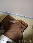     
: IMG_20171127_180614.jpg
: 16
:	80.0 
ID:	12440390