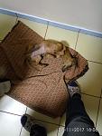     
: IMG_20171127_180609.jpg
: 20
:	91.6 
ID:	12440391