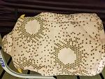     
: 20171127_184118.jpg
: 6
:	168.0 
ID:	12444524