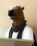    
: IMG_5590.jpg
: 14
:	71.7 
ID:	12447004