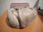     
: 414496282_2_644x461_muzhskaya-shapka-ushanka-fotografii.jpg
: 15
:	21.5 
ID:	12449554