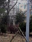     
: IMG_3931_1.jpg
: 16
:	262.5 
ID:	12450439