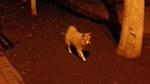     
: 20171204_191820-1.jpg
: 16
:	76.6 
ID:	12451439