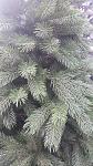     
: 20171204_153311.jpg
: 67
:	156.2 
ID:	12451526