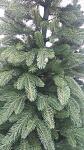     
: 20171204_153303.jpg
: 59
:	168.4 
ID:	12451527