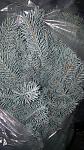    
: 20171204_152302.jpg
: 51
:	157.0 
ID:	12451528