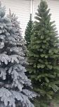     
: 20171204_153330.jpg
: 68
:	145.2 
ID:	12451529