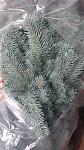     
: 20171204_152308.jpg
: 48
:	135.8 
ID:	12451531
