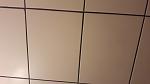     
: 20171205_112732.jpg
: 16
:	41.8 
ID:	12452610