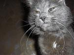     
: smarty_big.jpg
: 39
:	147.7 
ID:	124543