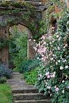     
: 166f5ca2de4fca52b817b98190fc776e--the-secret-garden-secret-gardens.jpg
: 119
:	33.5 
ID:	12454328
