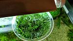     
: 20160114_205410.jpg
: 18
:	148.6 
ID:	12457287