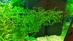     
: 20160114_205616.jpg
: 71
:	163.4 
ID:	12457292