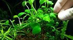    
: 20171206_214344.jpg
: 69
:	115.3 
ID:	12457310