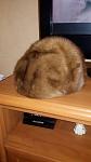     
: 20171130_201528.jpg
: 10
:	55.7 
ID:	12458576