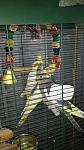     
: 20171209_075638.jpg
: 38
:	93.5 
ID:	12460615
