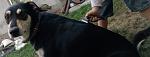     
: P70924-134253.jpg
: 40
:	70.3 
ID:	12462642