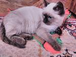     
: IMG_20171204_224314.jpg
: 22
:	123.3 
ID:	12463445