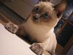     
: P1010023.jpg
: 17
:	108.8 
ID:	1246381