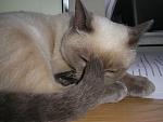     
: P1010074.jpg
: 14
:	143.8 
ID:	1246392