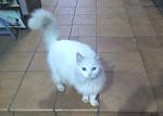     
: IMG_22.jpg
: 11
:	83.7 
ID:	12465212