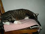     
: P3140282.jpg
: 26
:	74.9 
ID:	1247203