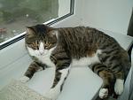     
: P3200286.jpg
: 21
:	66.7 
ID:	1247206