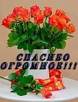     
: original.jpeg
: 22
:	75.0 
ID:	12474101