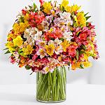     
: Item-11146.jpg
: 28
:	155.9 
ID:	12474254