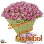     
: 11549933.jpg
: 21
:	107.9 
ID:	12474968
