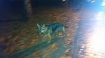     
: DSC_1825.jpg
: 15
:	70.4 
ID:	12475188